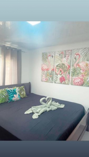 Lovely Private Room King Bed - Bocas del Toro